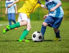 福建首开农,村体育指导,员高技能农,乐竞体育平台,乐竞体育官方网站,乐竞体育登录入口,乐竞体育app下载